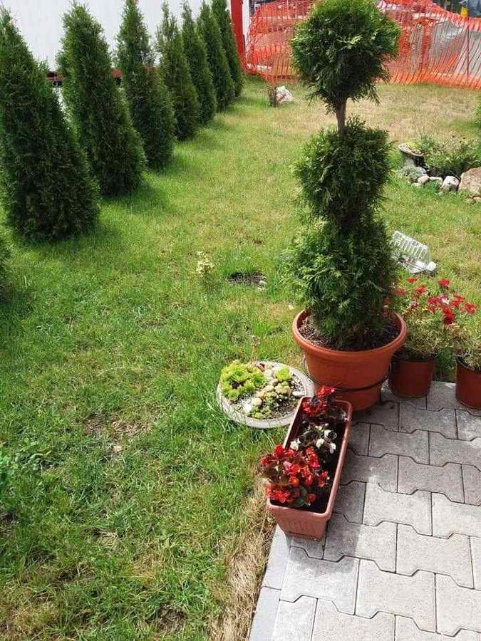 Lufi Penthouse Apartment Zlatibor Buitenkant foto